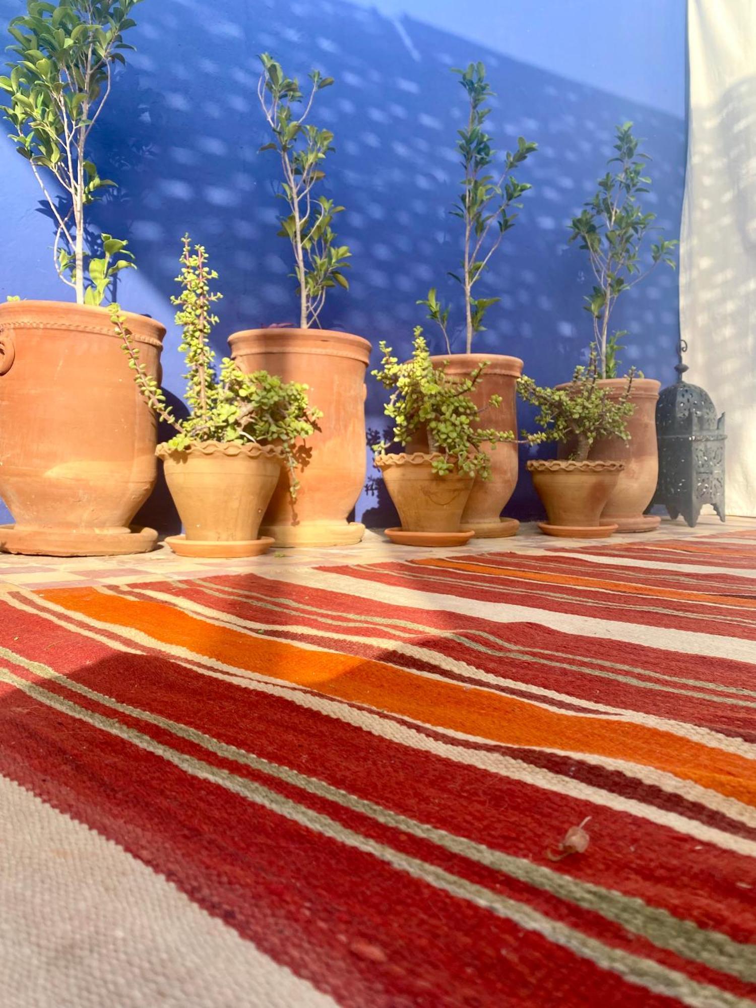 Riad La Perle De Bacha Marrakesh Ngoại thất bức ảnh